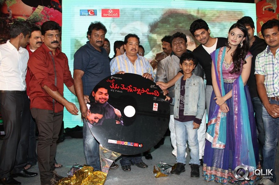 Mellaga-Tattindi-Manasu-Talupu-Movie-Audio-Launch